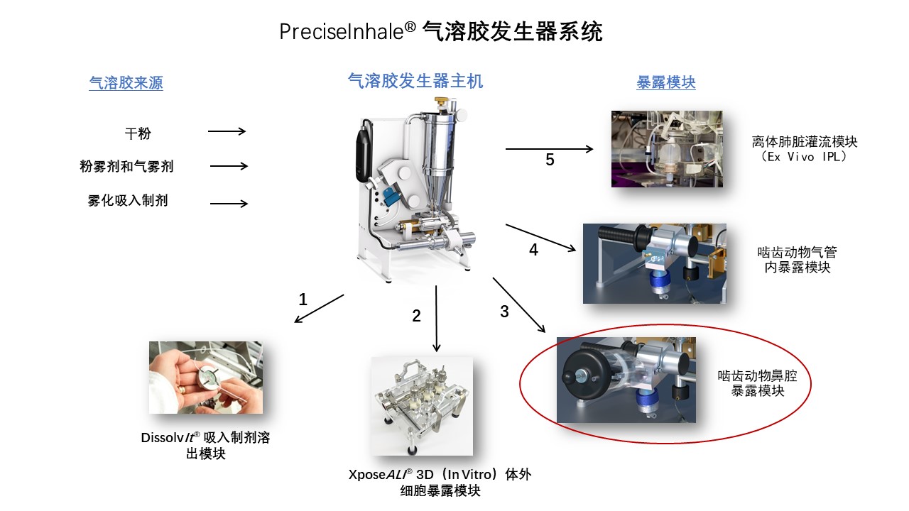 主機(jī)+3 鼻腔.jpg